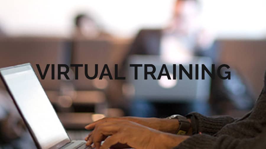 virtual training1